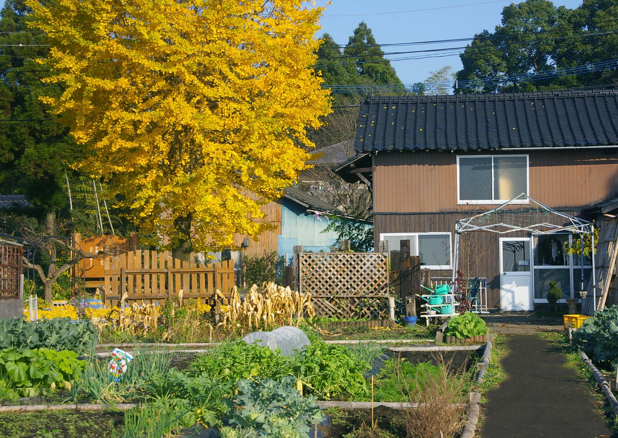 貸し農園貸し菜園　ふれあいの郷の様子3