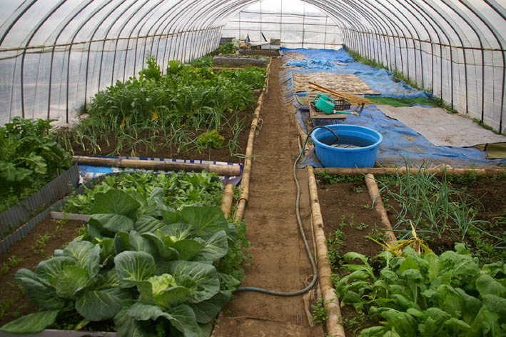 貸し農園貸し菜園　ふれあいの郷の様子4