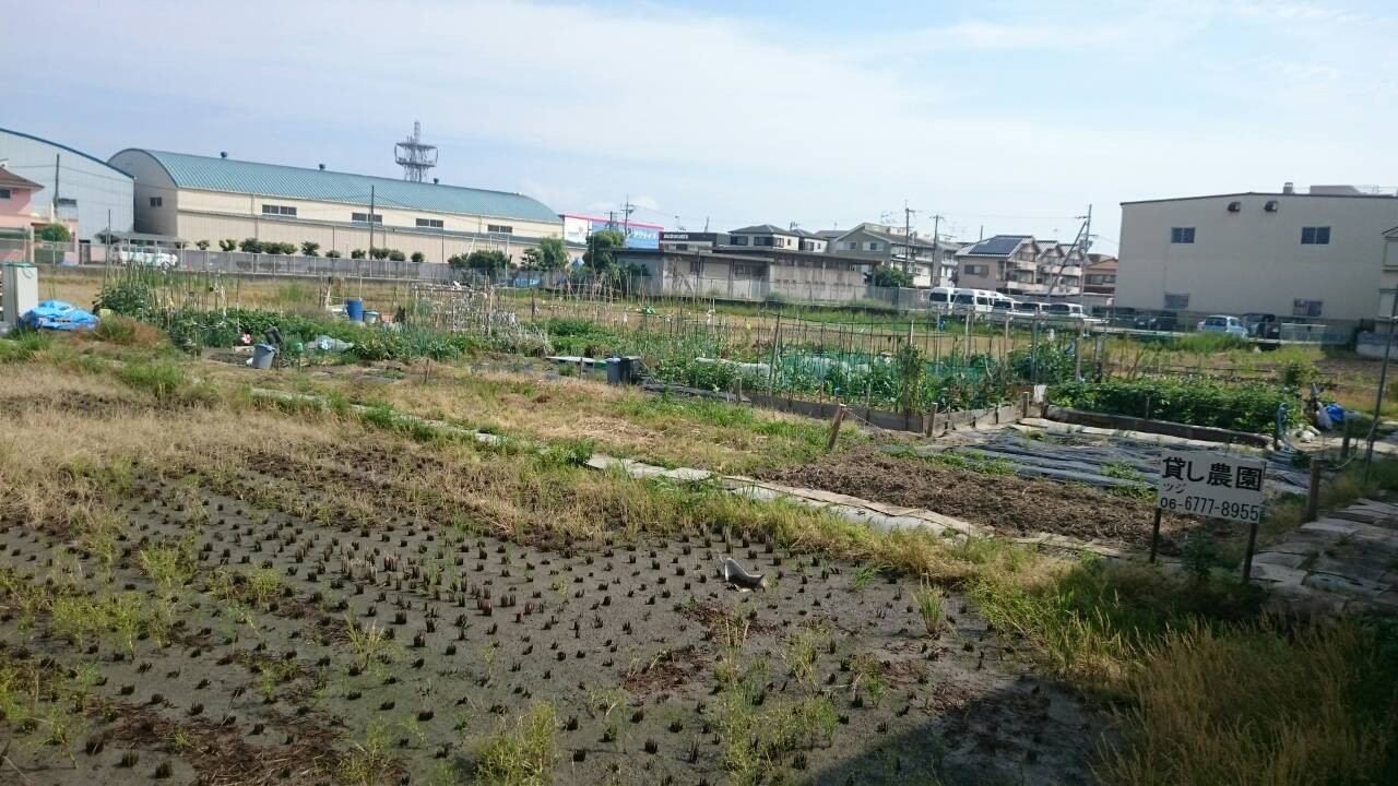 貸し農園の様子1