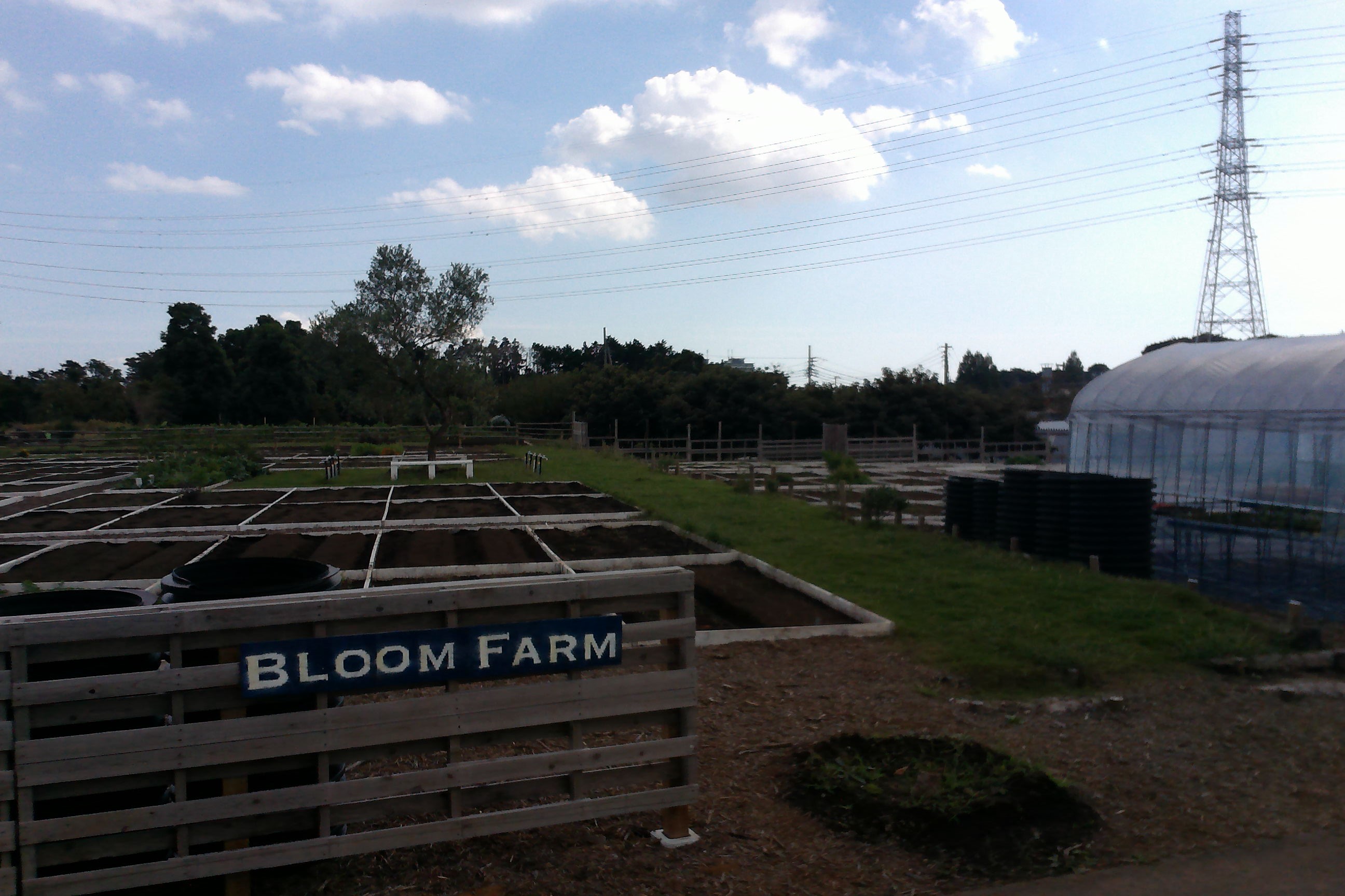 BLOOM　FARM