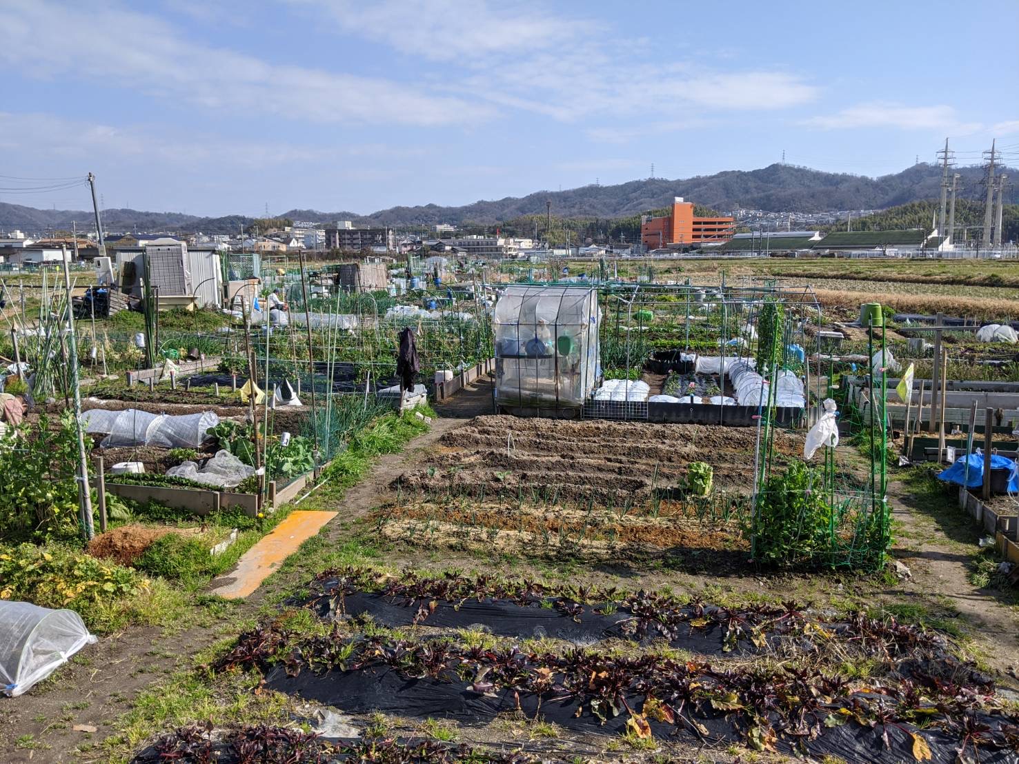 びお・やちゃい村