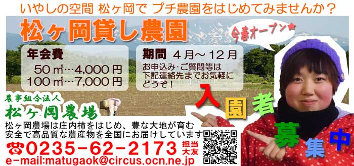 貸し農園の様子1