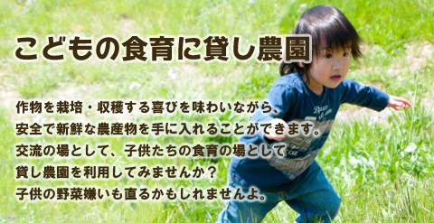 作物を収穫する喜びを味わいながら安全で新鮮な農産物を手に入れることができます。子供たちの食育の場として利用してみませんか？